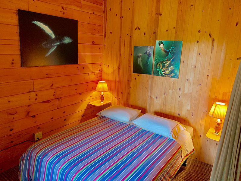 Blockhäuser Vipilodge